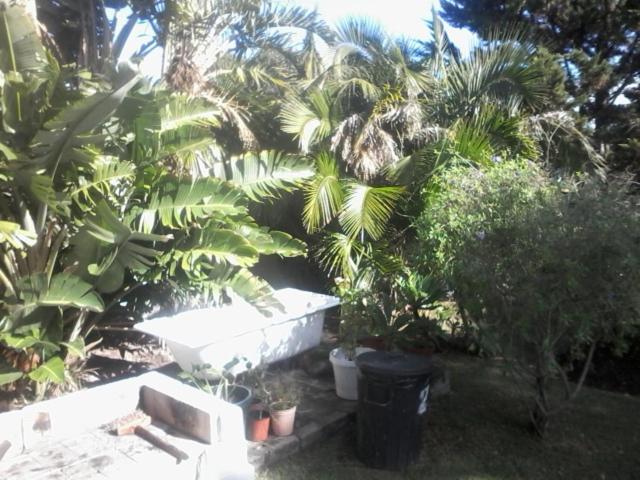 Self Catering Unit 7, Sandbaai Hermanus Exterior foto