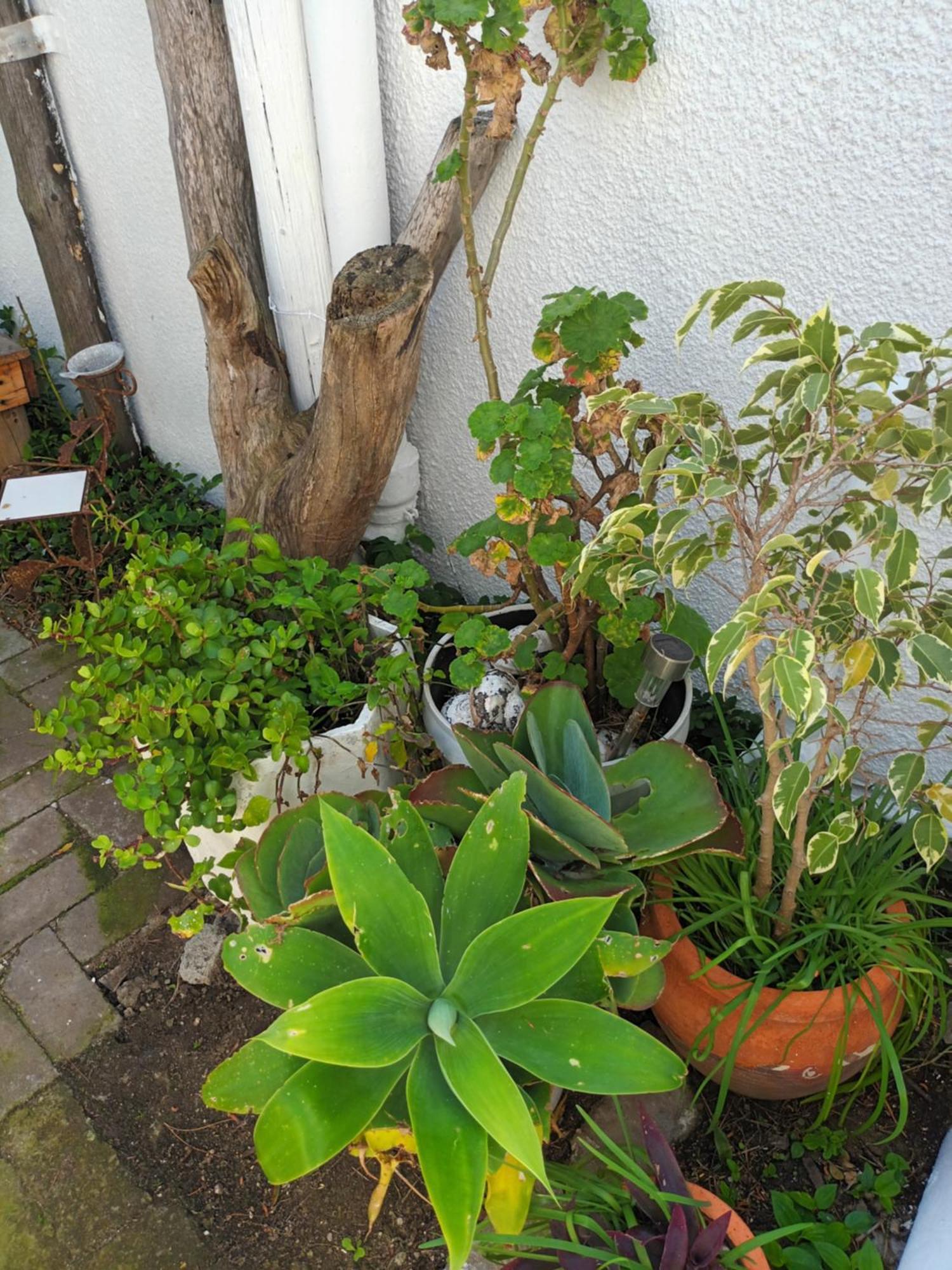 Self Catering Unit 7, Sandbaai Hermanus Cameră foto